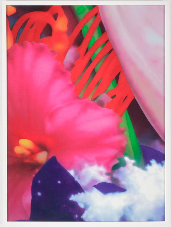 MARC QUINN,  färgpigmenttryck, 2007, signerad och numrerad 51/59 a tergo, utgiven av Paragon Press, London.