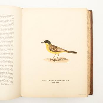 The Wright Brothers, book work, 3 volumes, "Swedish Birds", A. Börtzells tryckeri AB, Ivar Baarsen, Stockholm, 1927-1929.