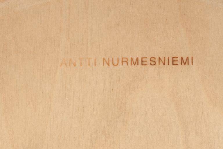 PALL, Antti Nurmesniemi.