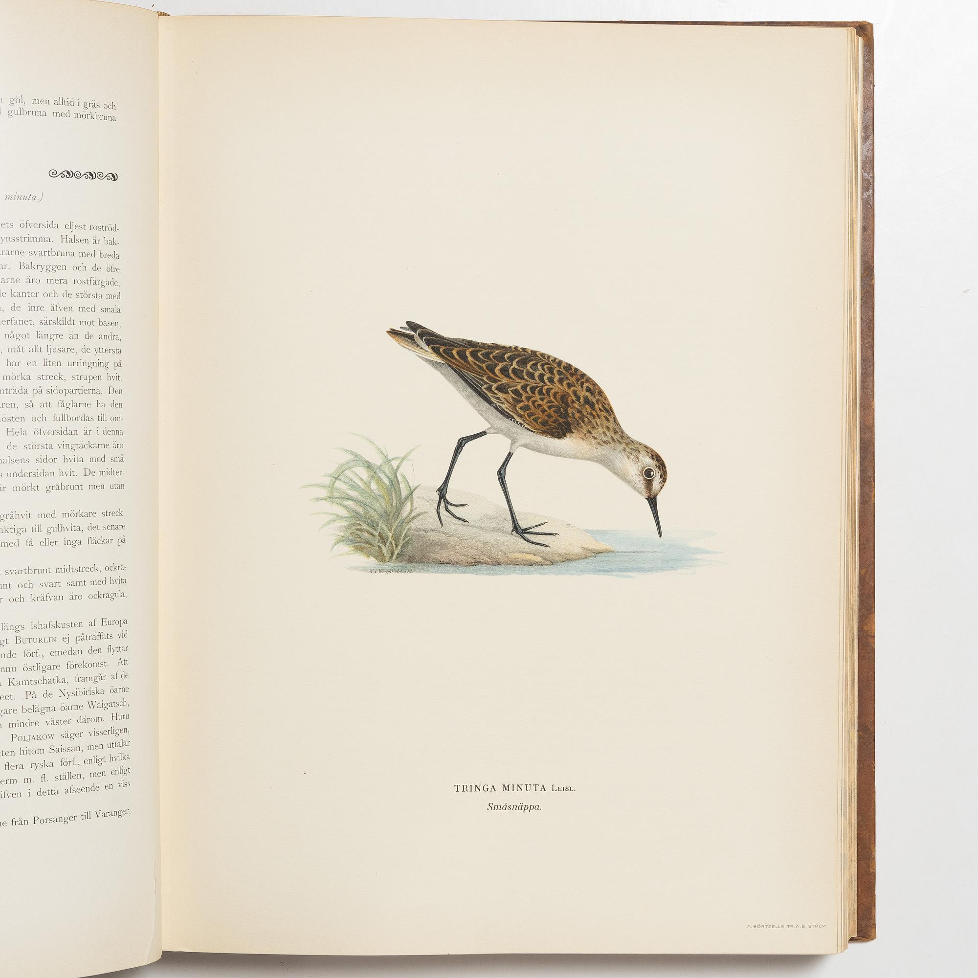 Bröderna von Wright, bokverk, 3 band, "Svenska fåglar", A. Börtzells tryckeri AB, Stockholm, 1927-1929.