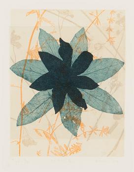 Pälvi Hanni, etching, signed and numbered T'pla 11/50.