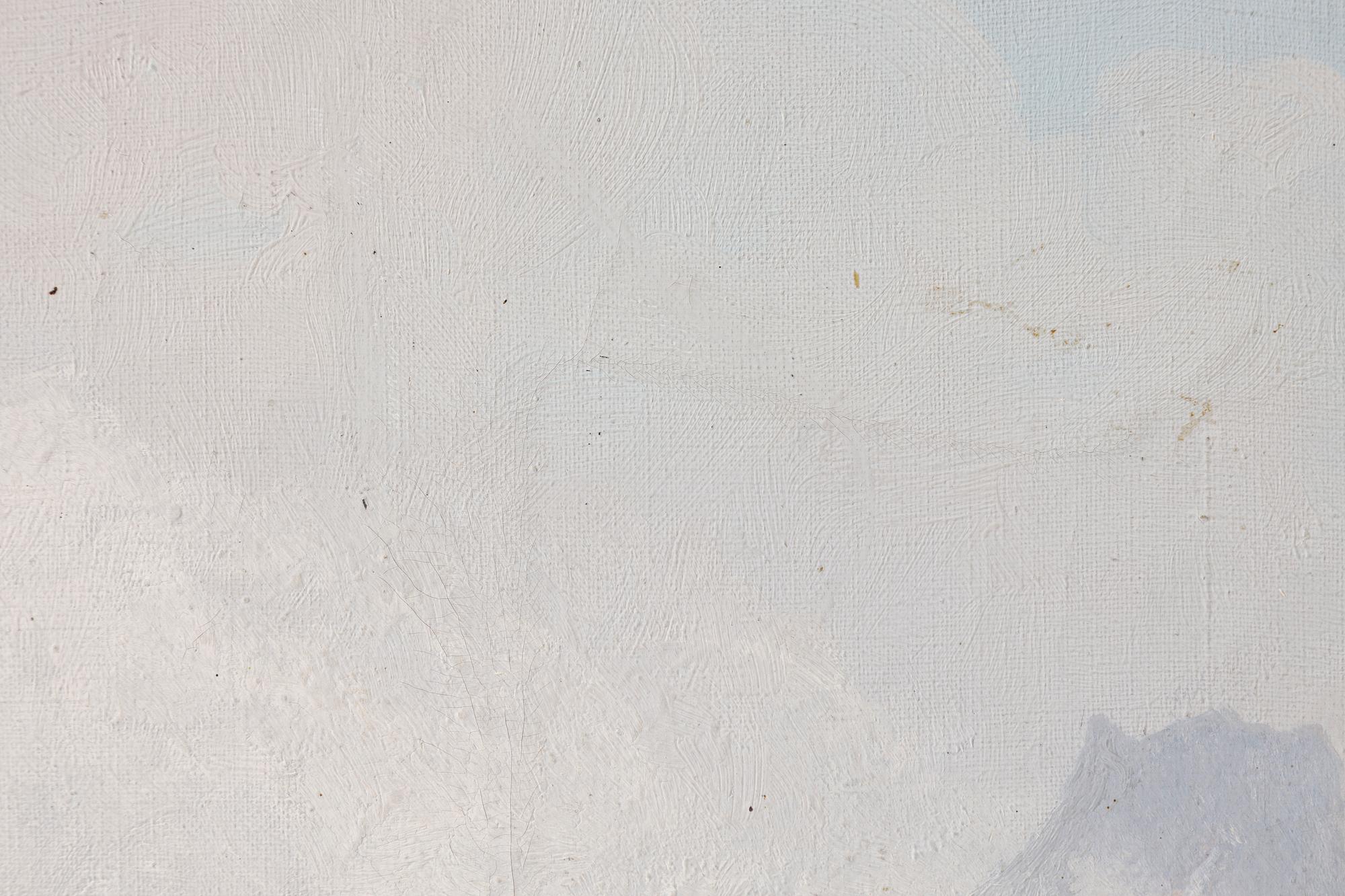 Olof Walfrid Nilsson, From Kebnekaise.