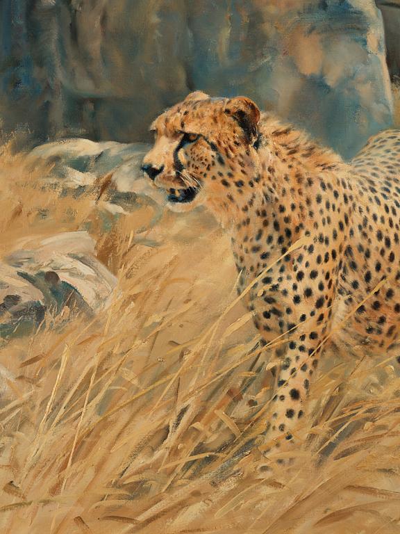 Donald Grant, Cheetah beside a cliff.