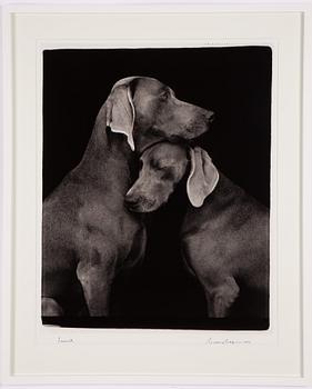 William Wegman, "Friends".