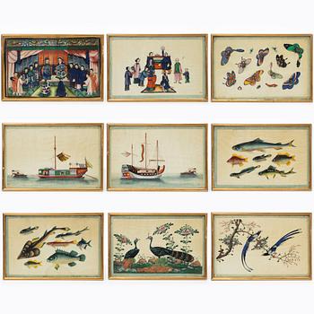 Rispappersmålningar, 9 stycken. Qingdynastin, 1800-tal.