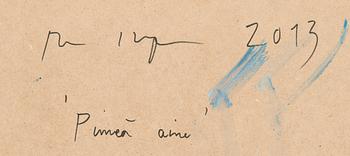 Anu Haapanen, "Pimeä aine".