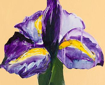 Tapani Mikkonen, Iiris.