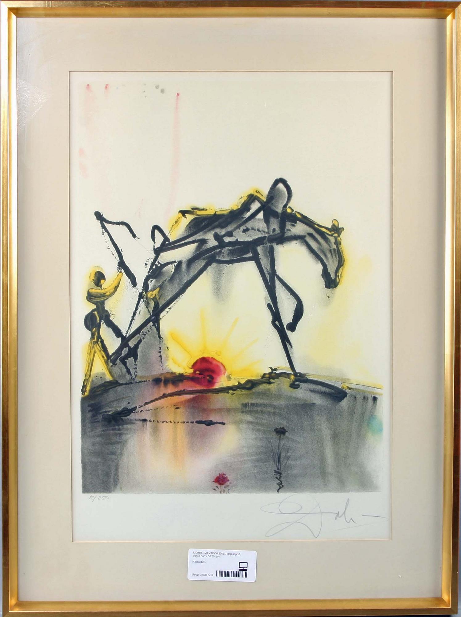 SALVADOR DALI, färglitografi, sign o numr 5/250.