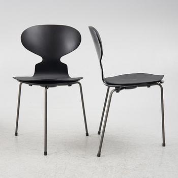 Arne Jacobsen, stolar, 4 st, "Myran", Fritz Hansen, Danmark, 1900-talets andra hälft resp 2024.