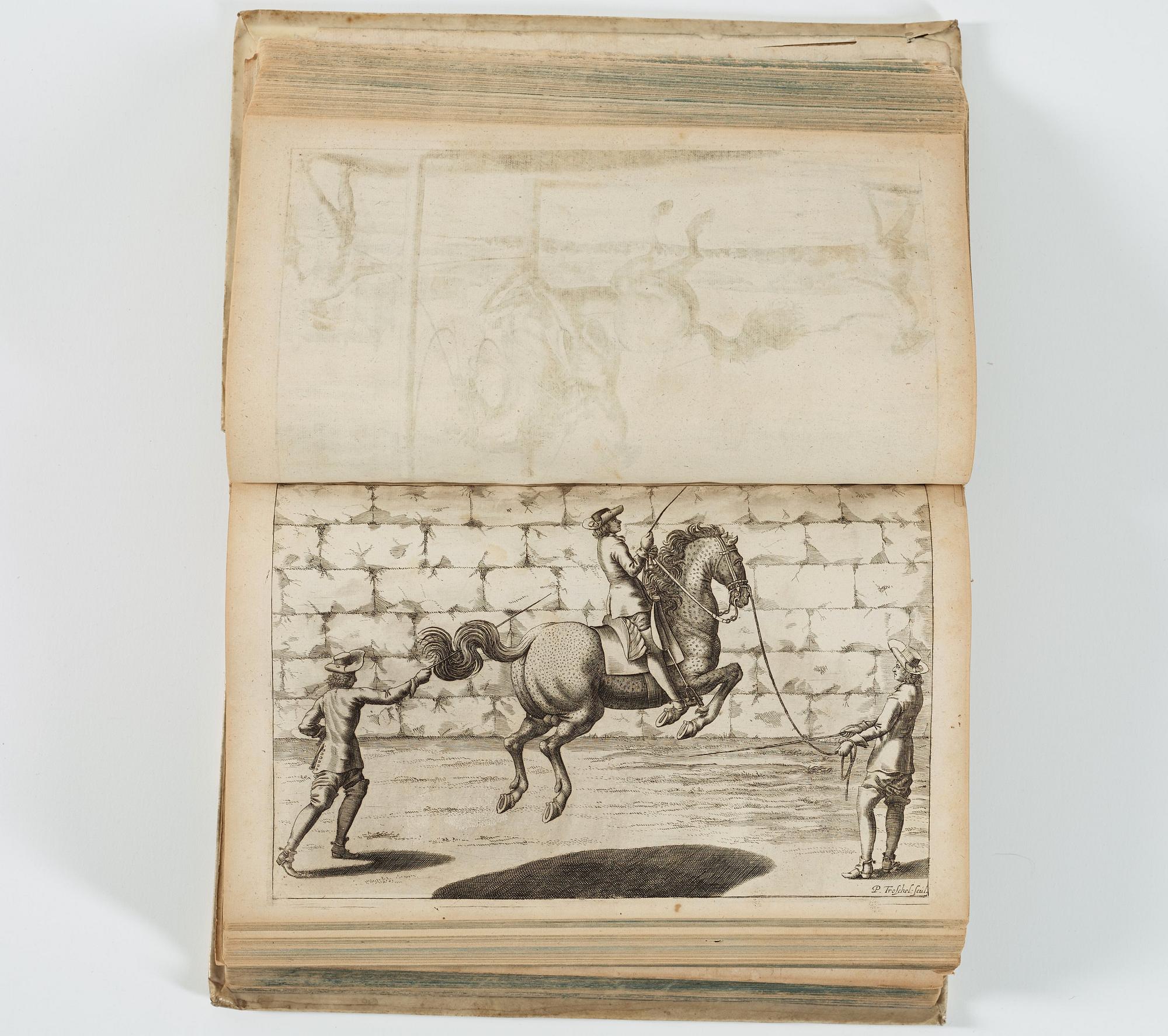 GEORG SIMON WINTER VON ADLERSFLÜGEL, Bellerophon, sive Eques peritus..", Nuremberg Wolfgang Moritz Endter, 1678.