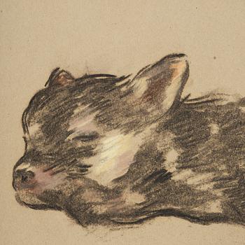 Lotte Laserstein, Sovande hundvalp.