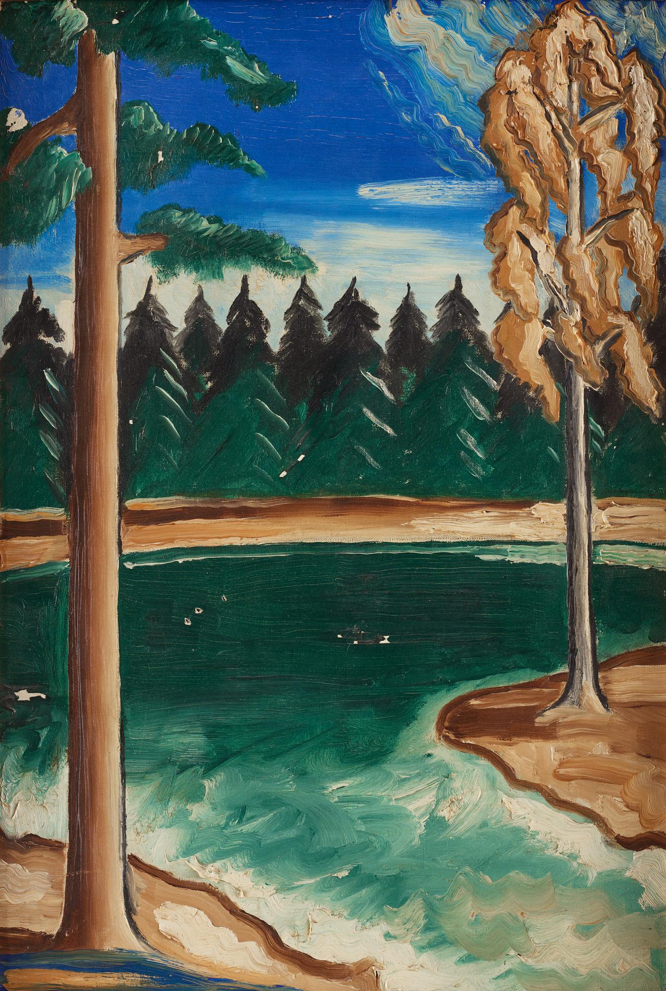 Carl Birger Höög, Skogsvy med granar.