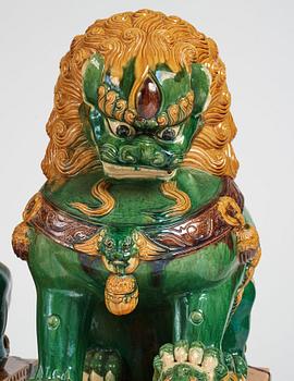 A pair of large buddhist lions, early 20th Century.