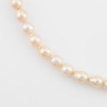 A necklace of cultured pearls without a clasp.
