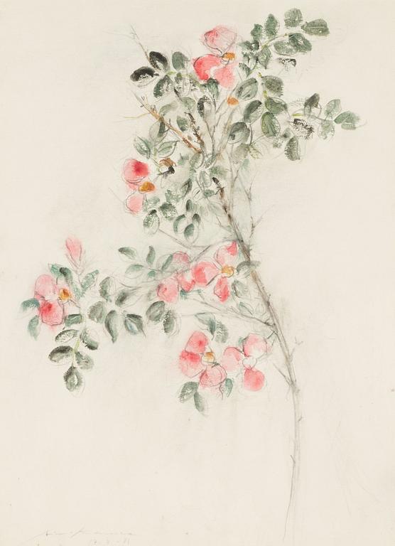Aimo Kanerva, watercolour, signed and dated -81.
