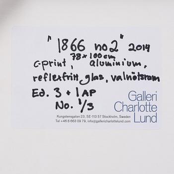 Denise Grünstein, "1866 No. 2", 2014.