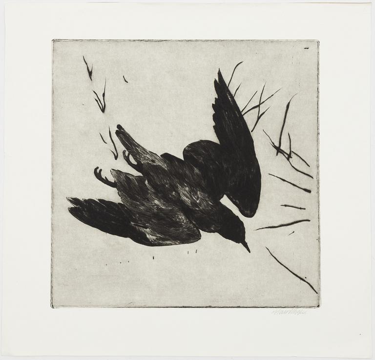 Hans Wigert, bird.