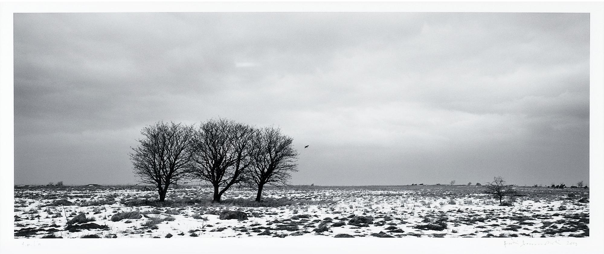 Pentti Sammallahti, "SAARENMAA, ESTLAND".