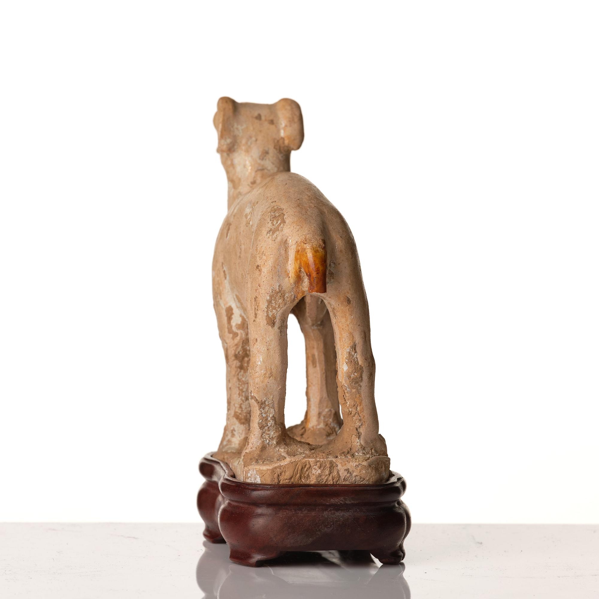 A pottery figure of a dog, Tang dynasty (618-907).