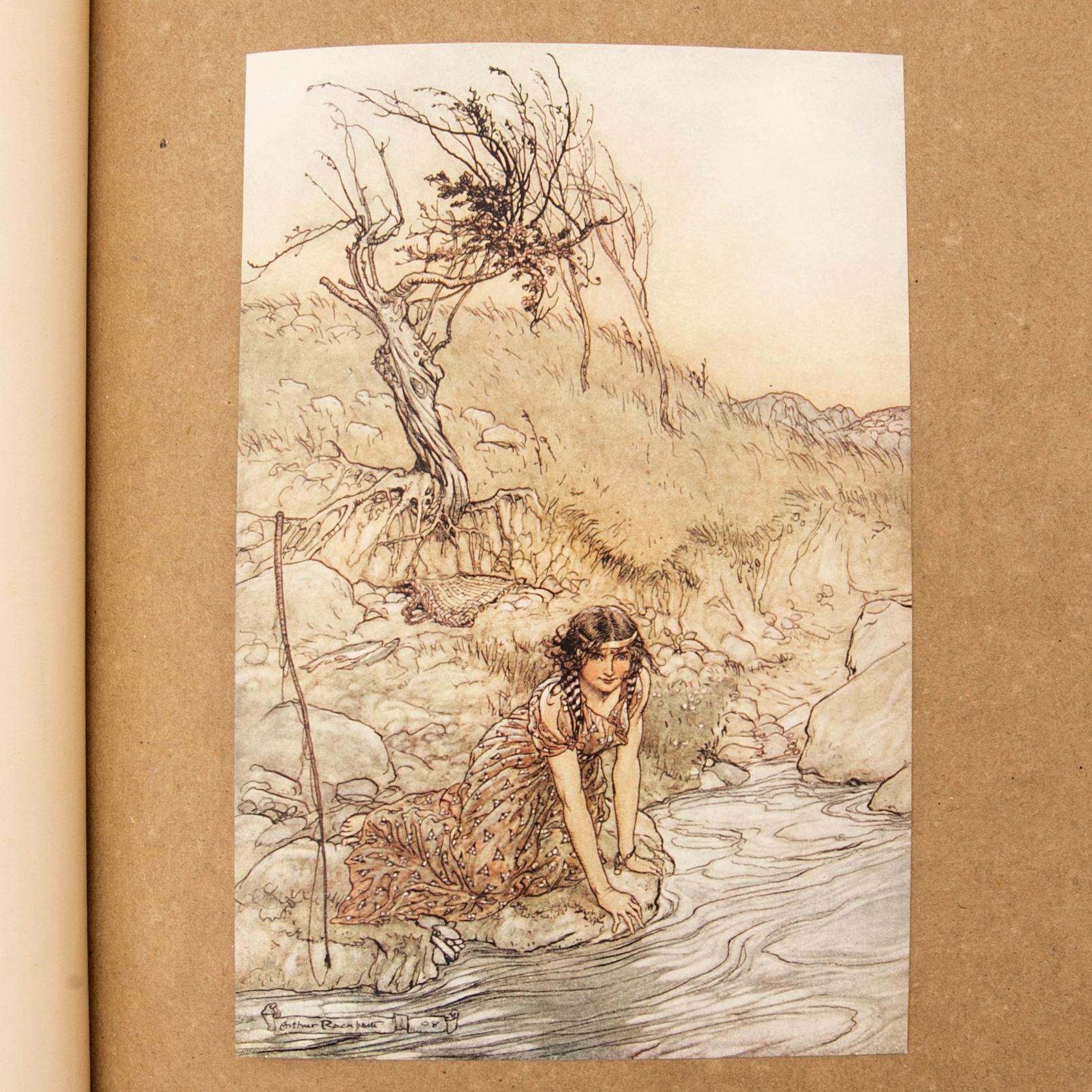 Arthur Rackham, book, “A Midnight's Dream”, no. 632/1000, 1908.