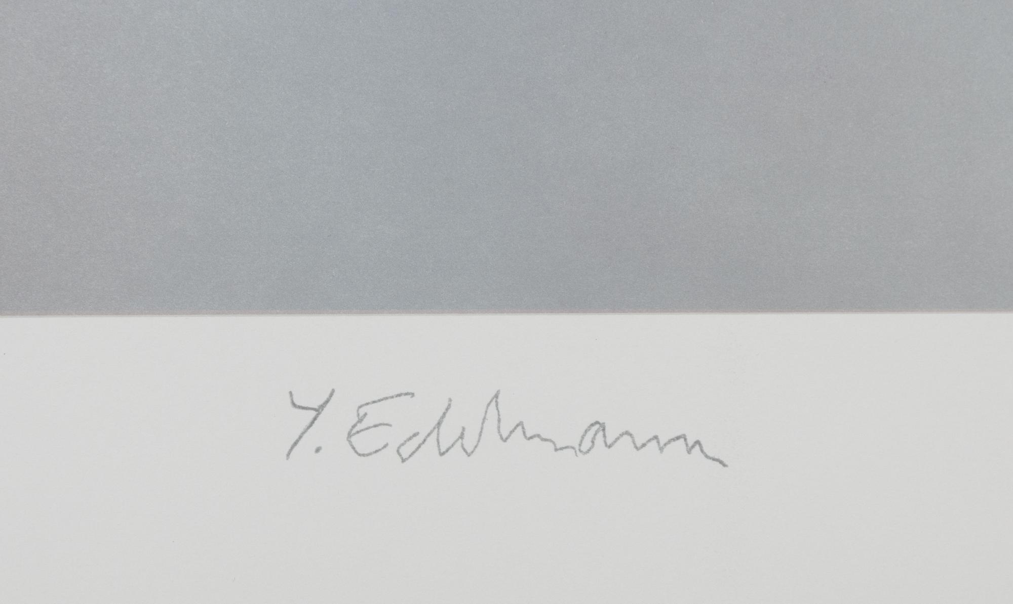 Yrjö Edelmann, "Wrapped Mac Laren II".