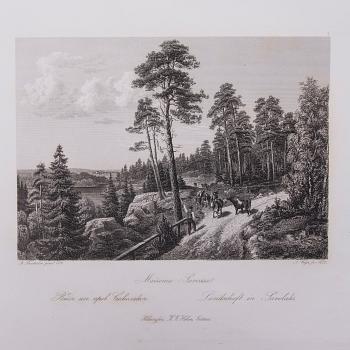 PARTI GRAVYRER, 14 st, stålstick, "En resa i Finland", A. Weger, 1870-tal.
