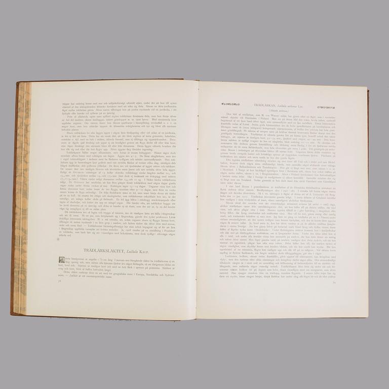 Three book "Svenska fåglar (Swedish birds)" with images by M, W & F VON WRIGHT, printed by Börtzells AB, 1924-1929.