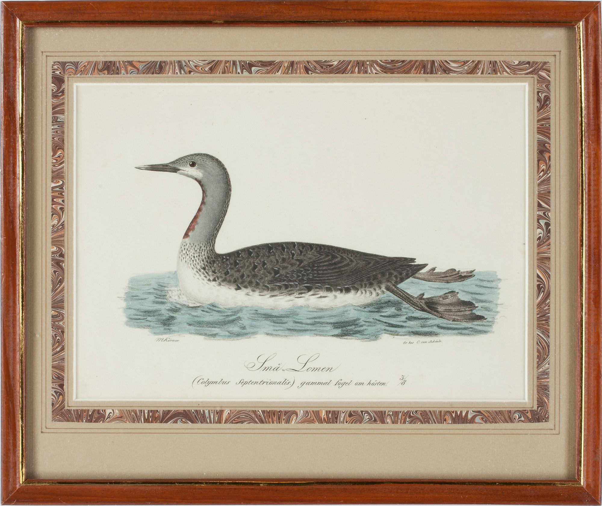 MAGNUS KÖRNER , 2 st, gravyrer, 1800-tal.