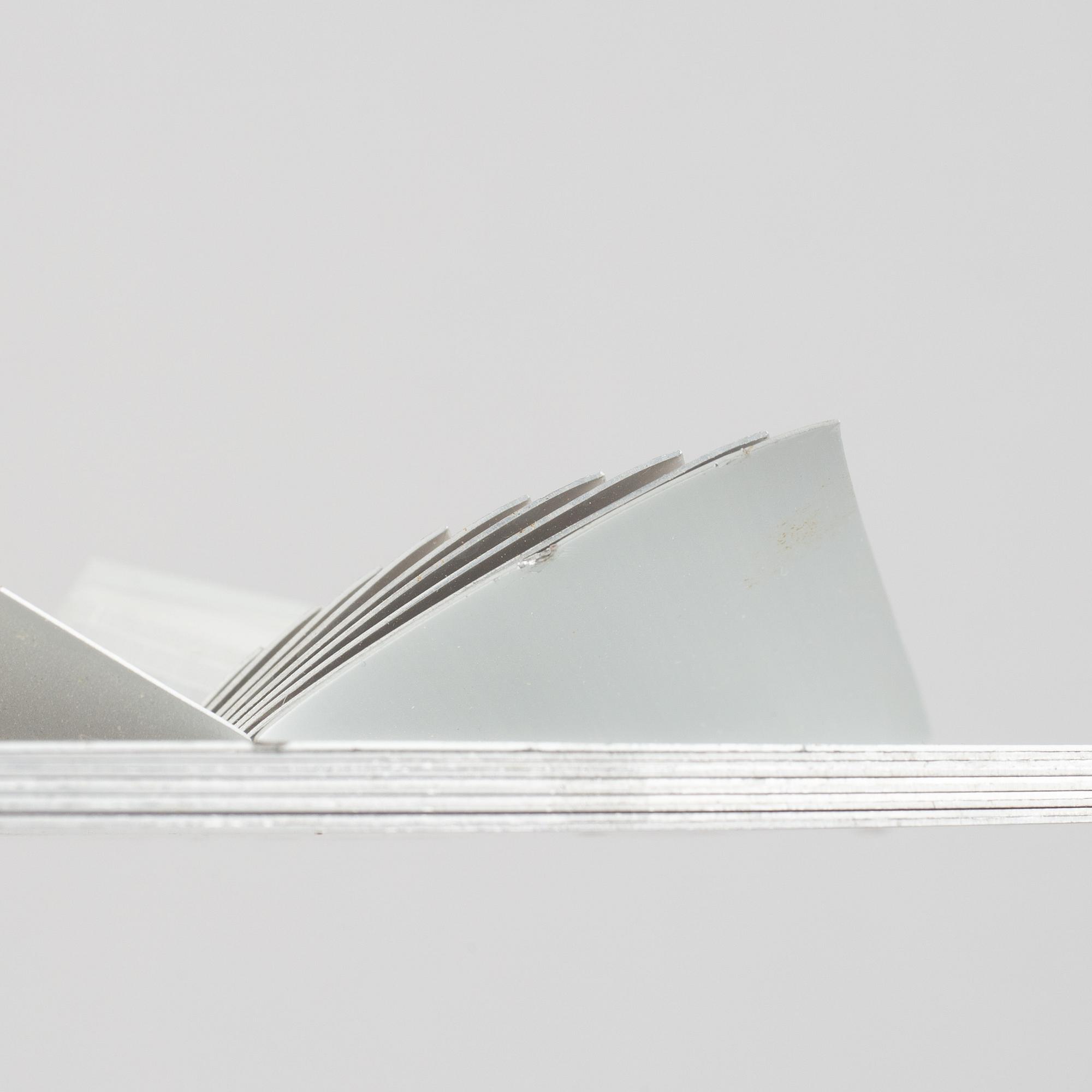 Arne Jones, "Blossom".