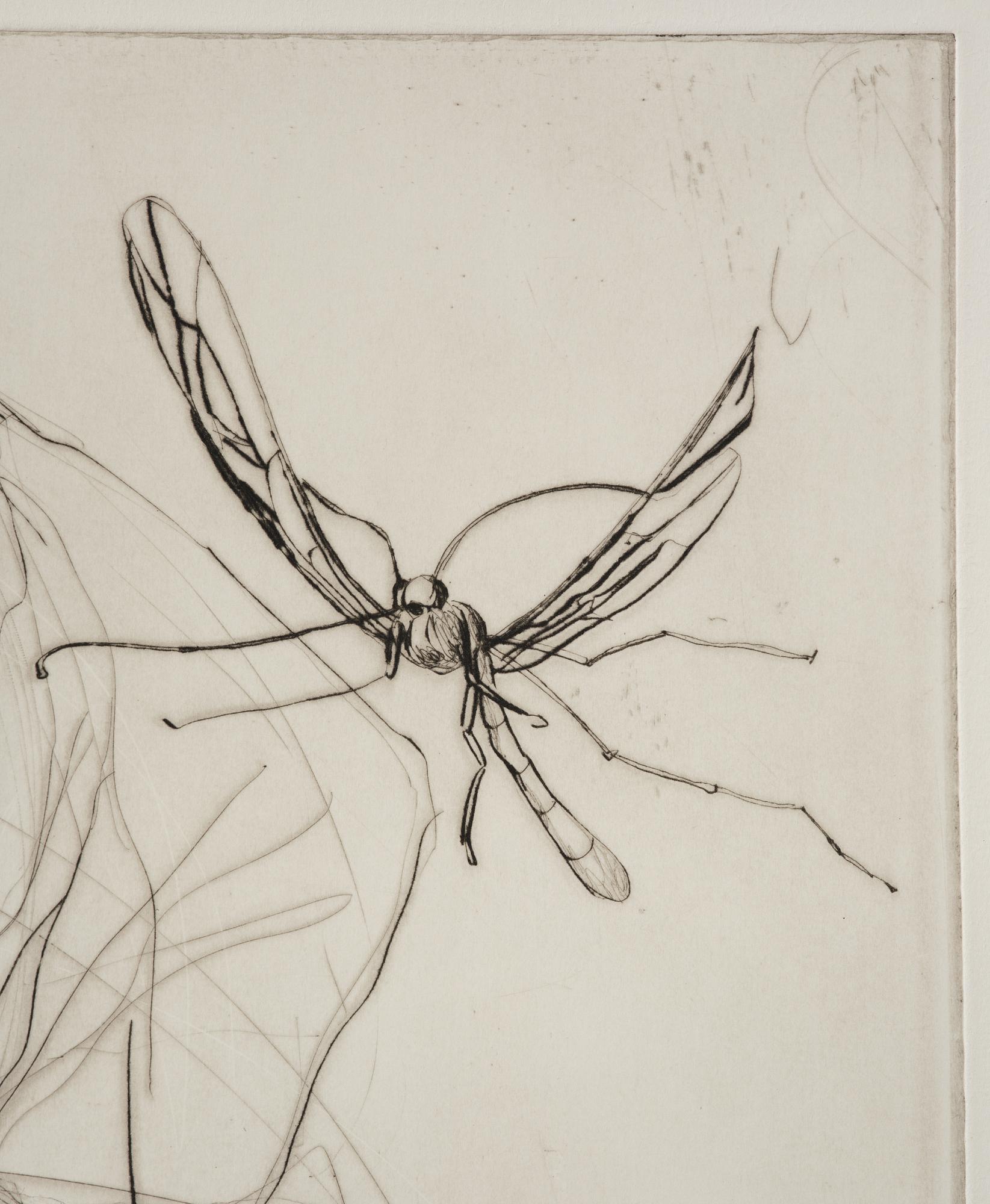 Linn Fernström, Untitled.