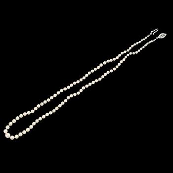 PÄRLCOLLIER, odlade pärlor, silverlås.