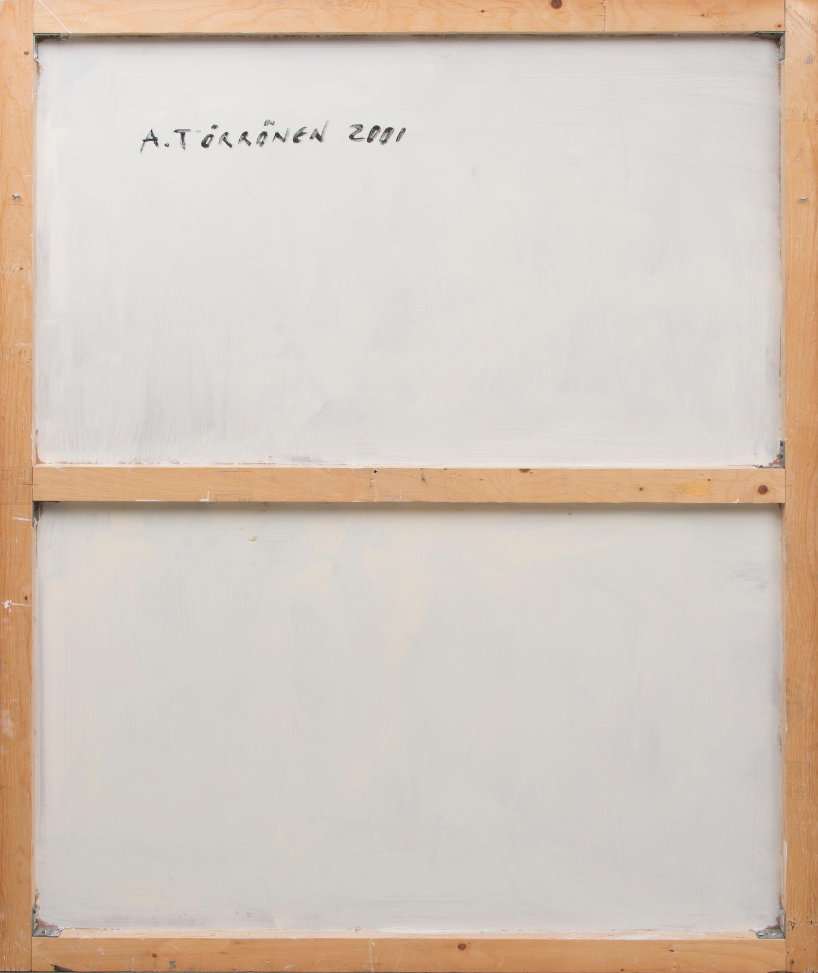 ANSSI TÖRRÖNEN, NIMETÖN.