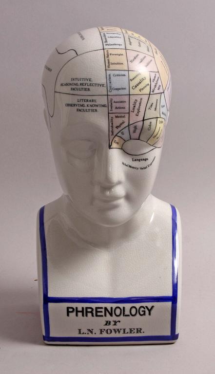 FIGURIN, porslin. Phrenology. 1900/2000-tal.