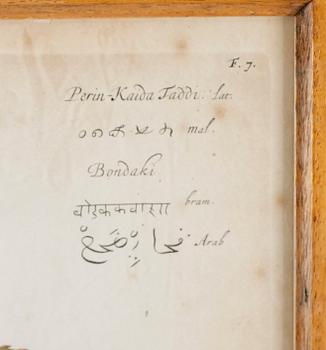 KOPPARSTICK, efter Stoppendael, 2 st,  kolorerade, 1600-/1700-tal.