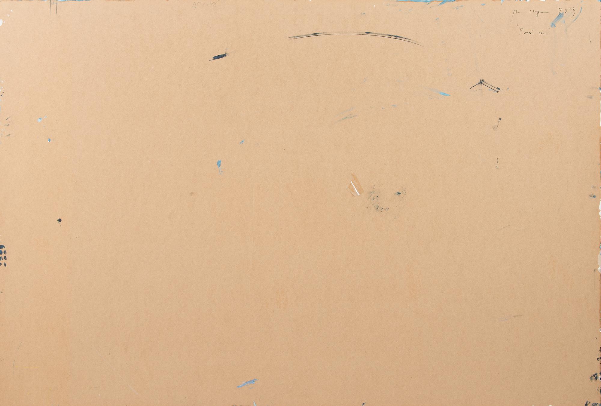 Anu Haapanen, "Pimeä aine".