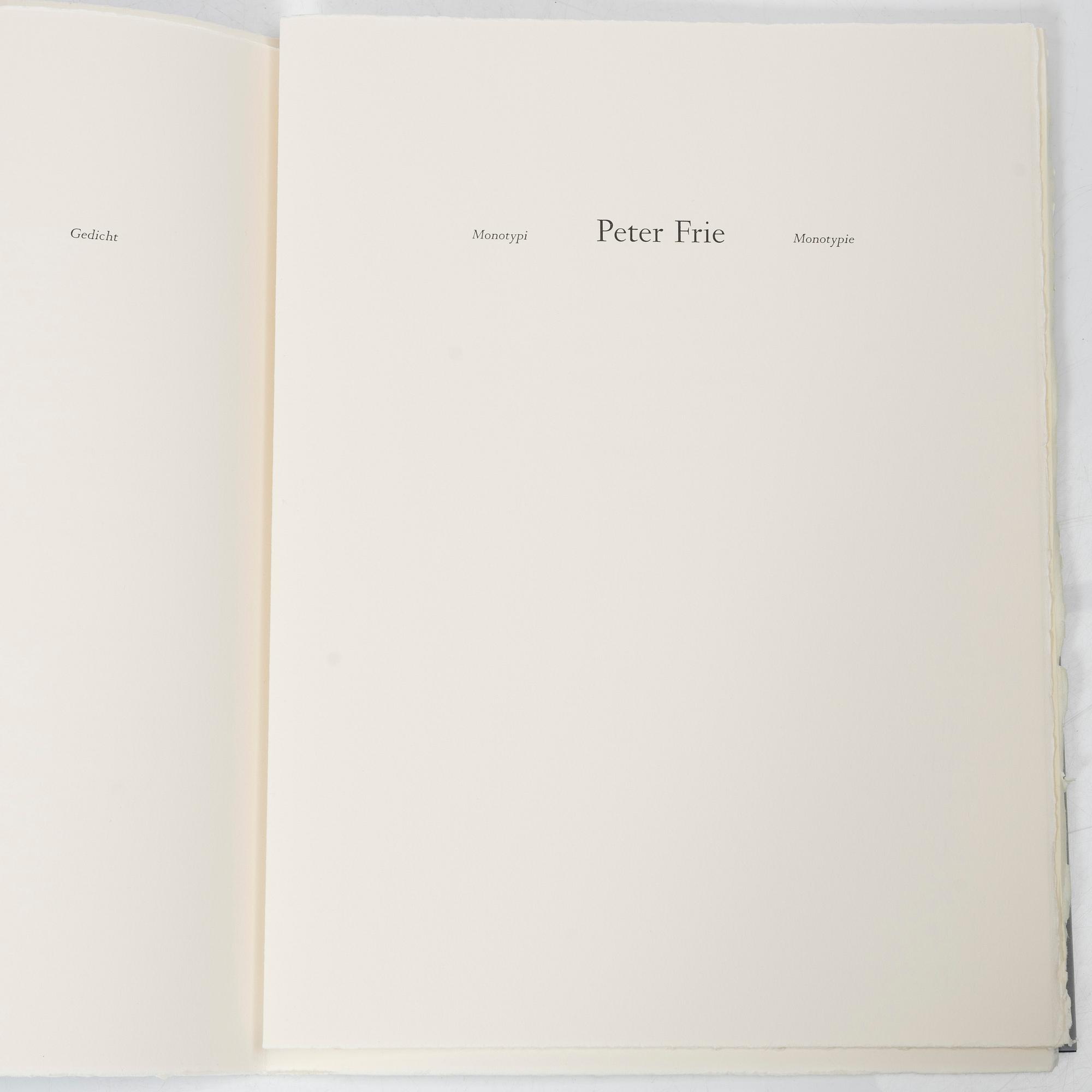 Peter Frie, Gunnar Ekelöf, Hans Magnus Enzensberger, "The Clouds", Elementum II, around the year 2005.