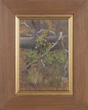Eero Järnefelt, Kaatunut Honka.