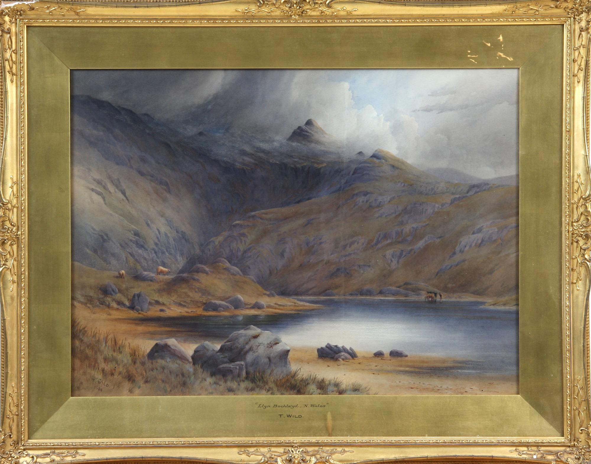 OKÄND KONSTNÄR, akvarell, sign o dat "T WILD 1884".