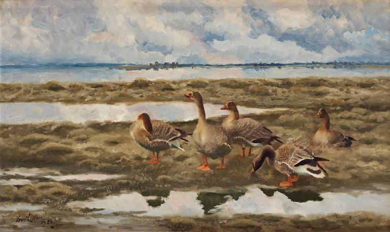 Bruno Liljefors, Landscape with geese.