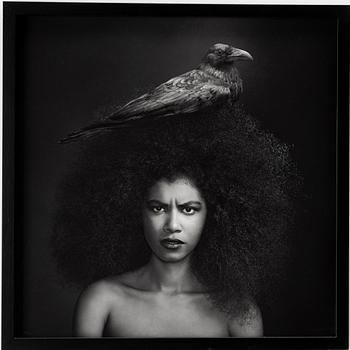 Sonja Hesslow, "Fly Away My Anger",2014.