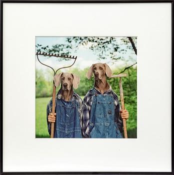 William Wegman, photography signed and dated 1997 on label at back.