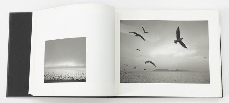 Pentti Sammallahti, "Täällä kaukana".