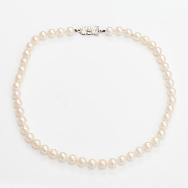 A pealr collier with cultured pearls and a metal clasp.