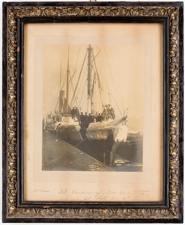 SKEPPSFOTOGRAFI, SS Charkow, 1910/20-tal.