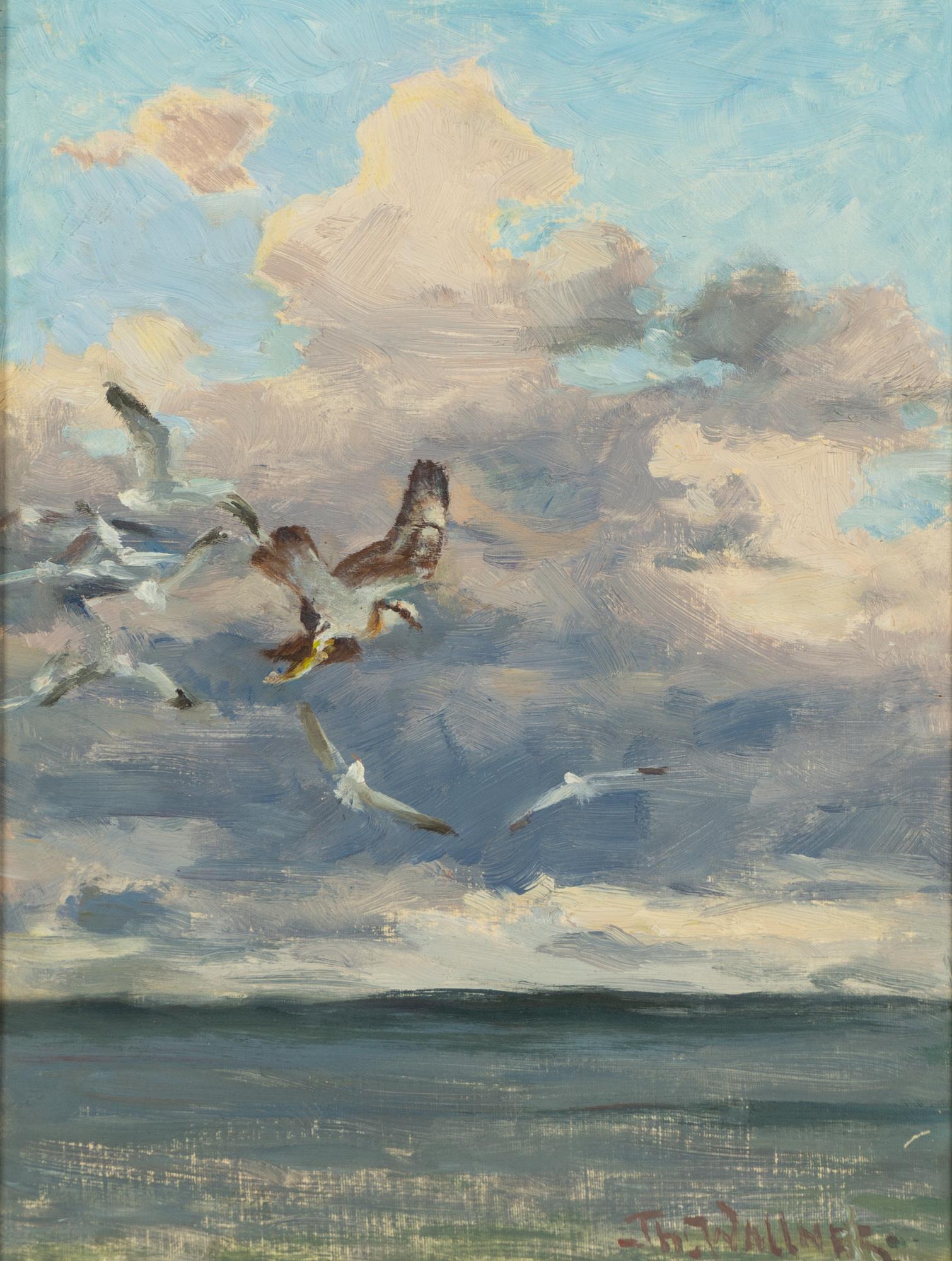 Thure Wallner, Sea birds.