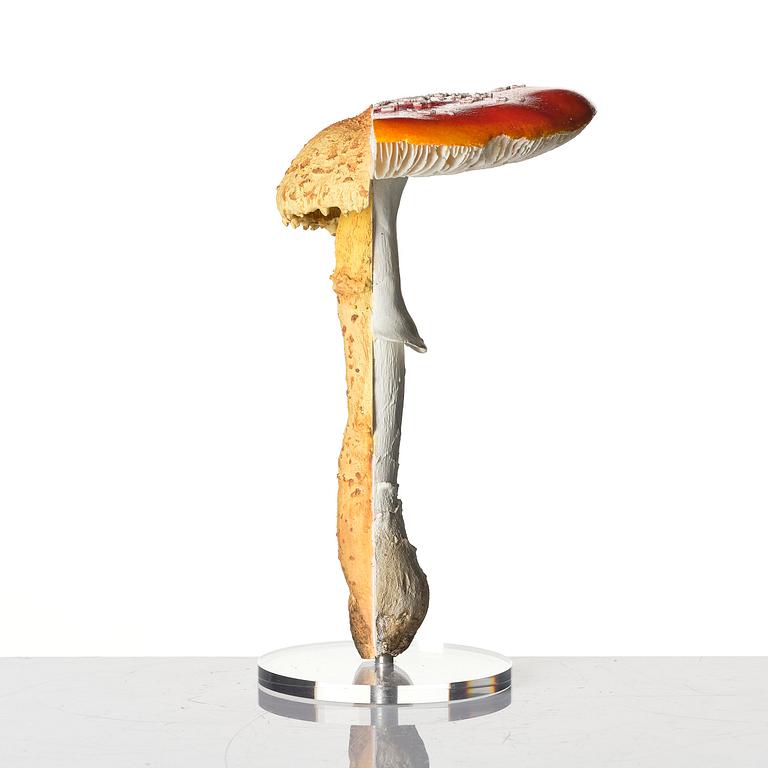Carsten Höller, "Double Mushroom Vitrine (Once)".