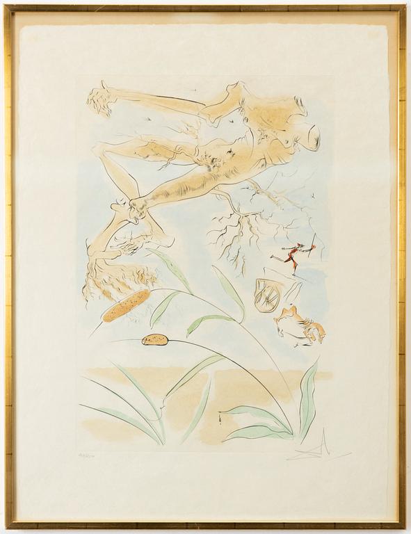 Salvador Dalí, "Le Chêne et le roseau".