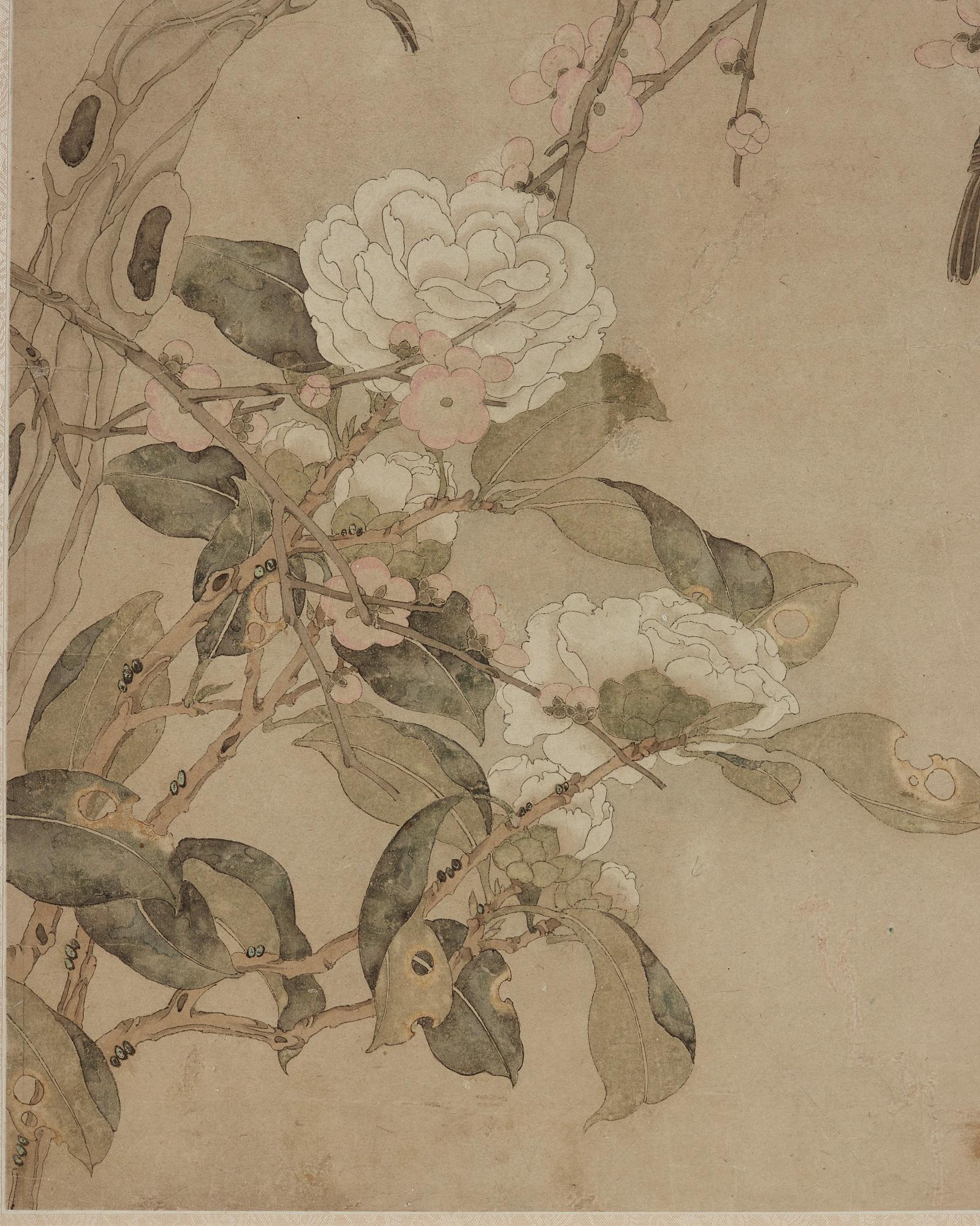MÅLNING, av Chen Zhifo, signerad, blommande kamelia, prunus och sparvar.