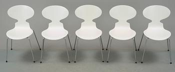 STOLAR, 5 st, "Myran", Arne Jacobsen, Fritz hansen, Danmark, 1900-talets slut.