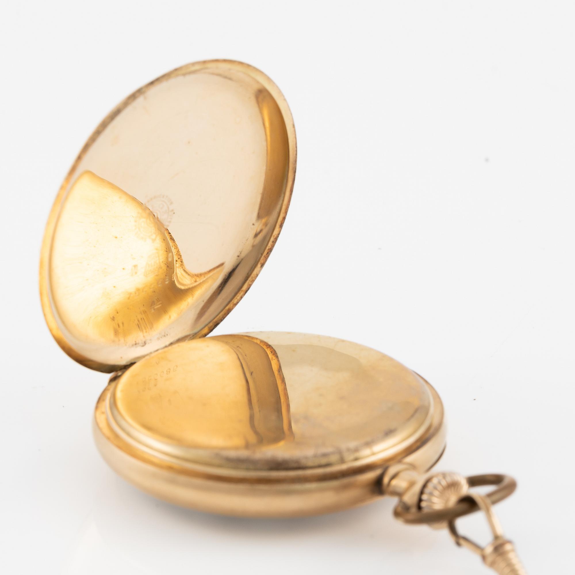 Omega, fickur, 51 mm.